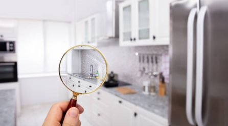 Home Inspection: What to Expect