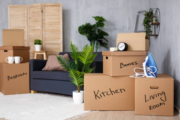 Packing Hacks: Packing for Your Move