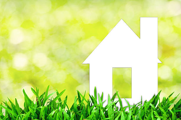 Green Features in Real Estate Trends